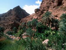 Arabien, Oman-Expeditionen - Wadi Tiwi im östlichen Hajar Gebirge